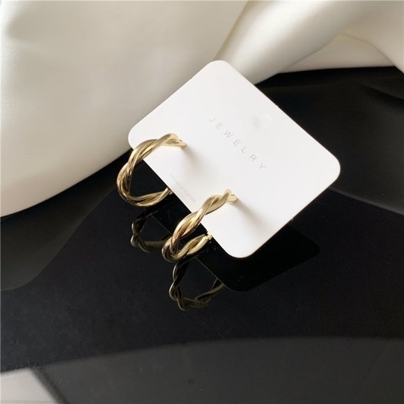 Twisted Braid Wire Metal Earrings - Picture 13 of 16